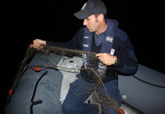 Illegal net found in marine park